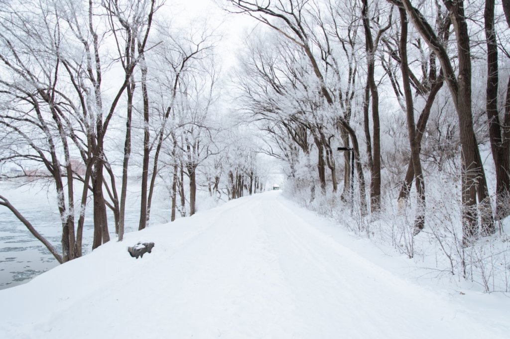 Winter Here