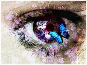 Eye_See_It_All_by_Die_Die_My_Darlin