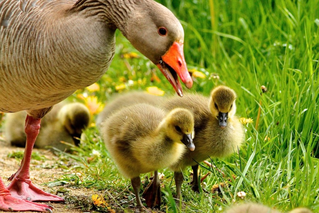 inspiring quotes about mother