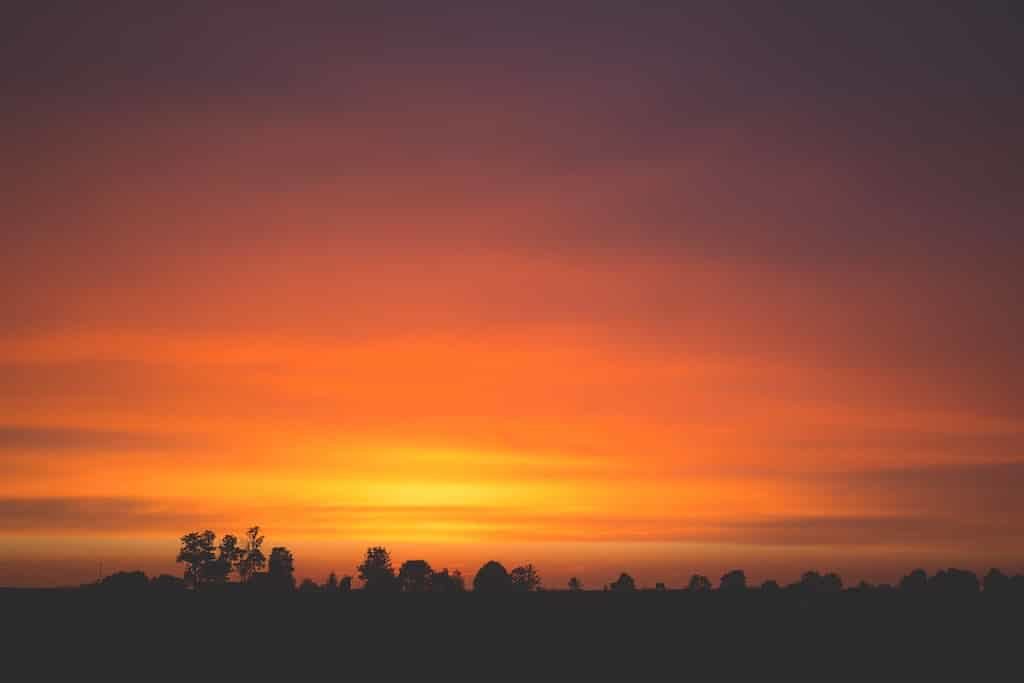 orange