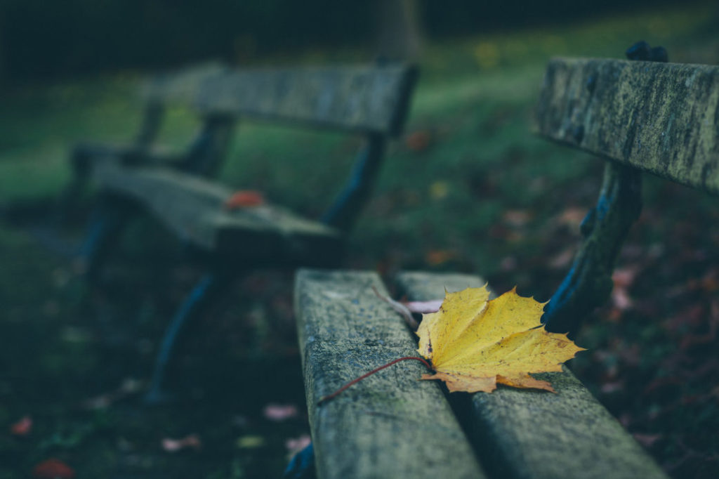 Last Bench