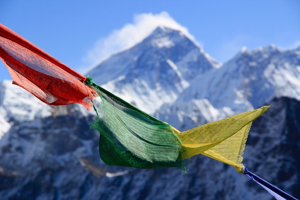 himalayan