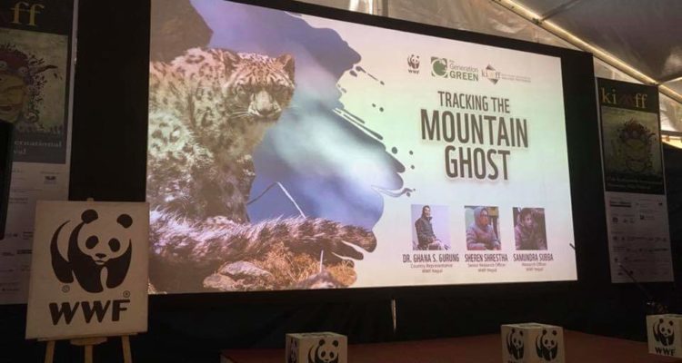 Snow leopards get a spotlight in KIMFF 2019 (1)