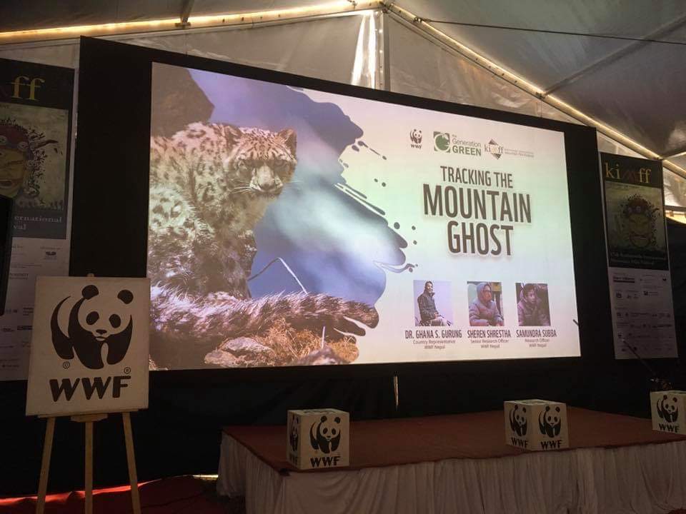 Snow leopards get a spotlight in KIMFF 2019 (1)