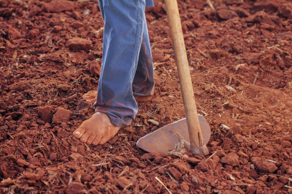 farmer_in_the_farm